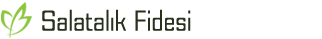 Salatalık Fidesi